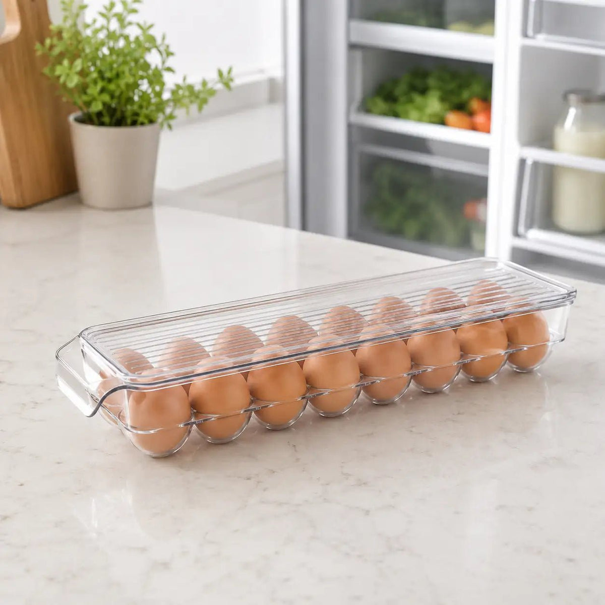 Clear 14 Egg Fridge Storage Tray – view 3